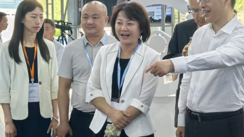 刹车片磨合期注意事项：如何确保行车安全与延长使用寿命